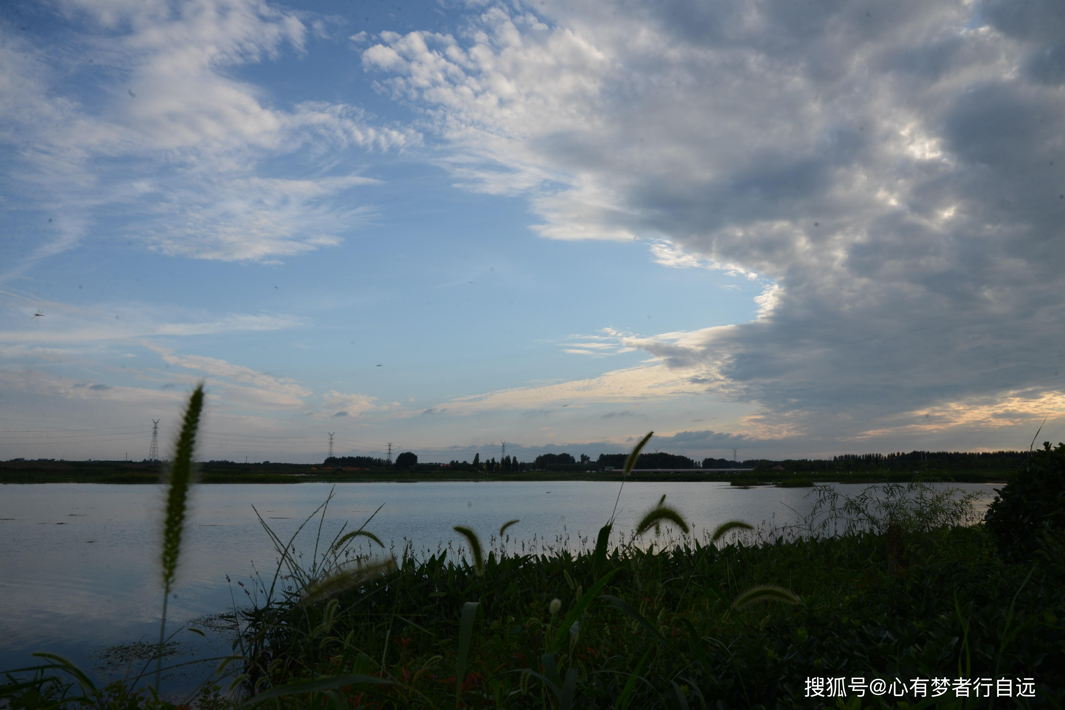 大河客户端濮阳濮阳今日头条新闻-第2张图片-太平洋在线下载